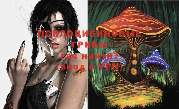 мдпв Алзамай