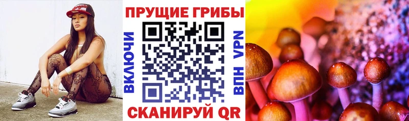 Псилоцибиновые грибы мицелий  Курлово 